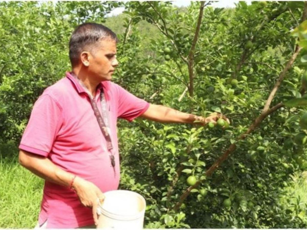 खाली जग्गा सदुपयोग गरी कागती खेती फष्टाउदैँ