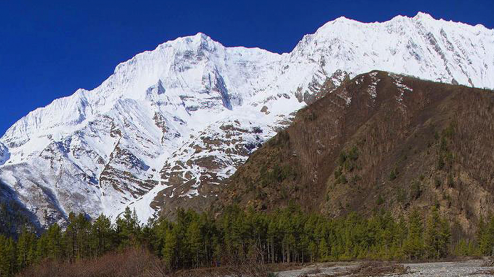 कान्जिरोवा हिमाल  आरोहणका लागि तयार भएनन्  कम्पनी