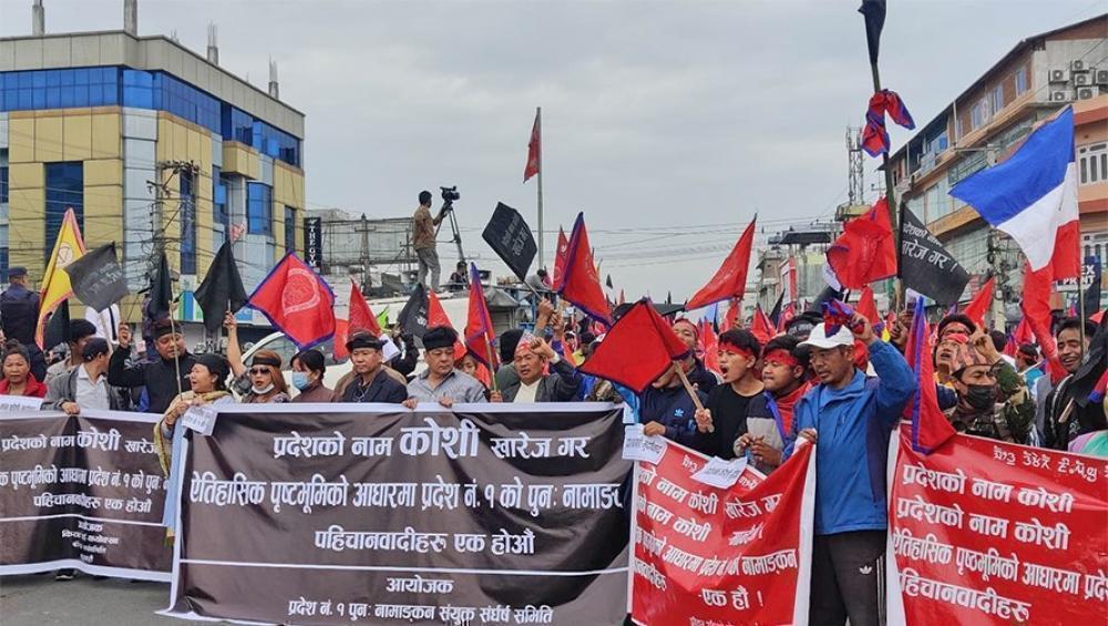 प्रदर्शनकारीलाई प्रहरीले गरे अश्रुग्यास प्रहार