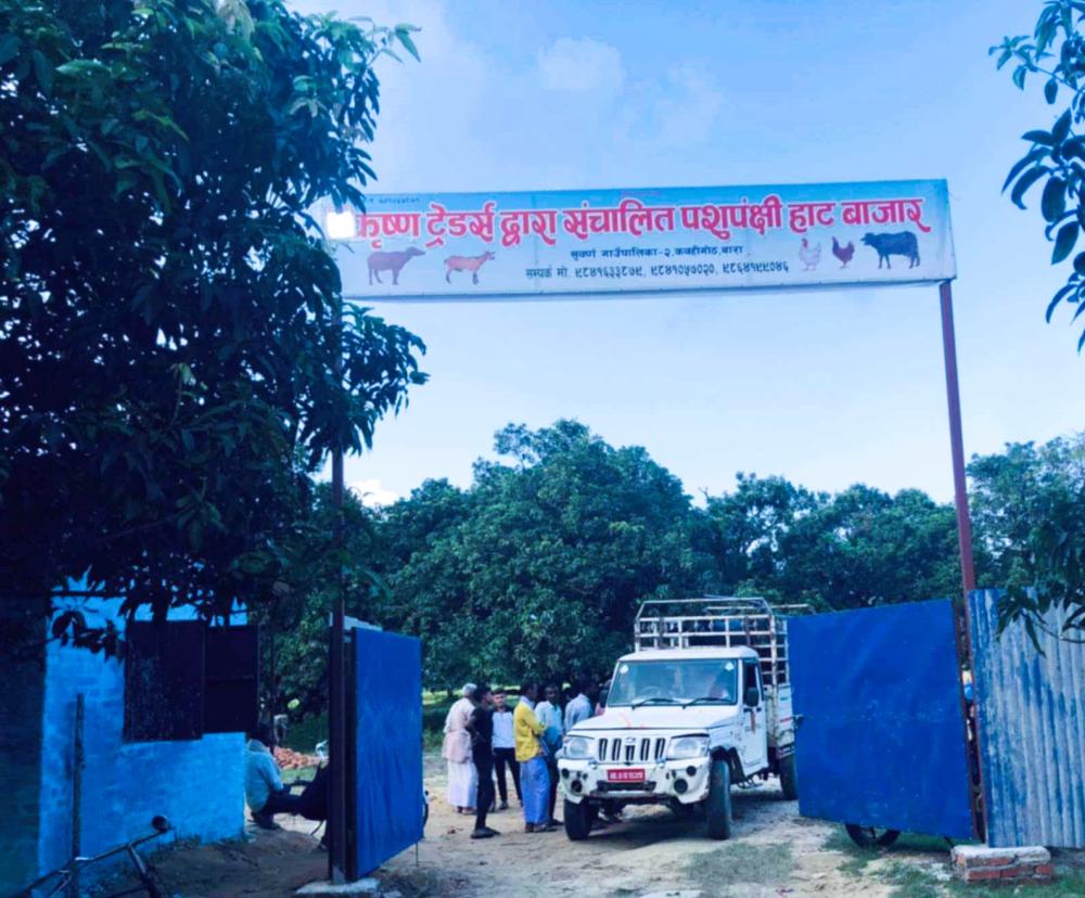 बाराको कवहीगोठमा दशैं लक्षित पशुपंक्षी हाटबजार लाग्दै