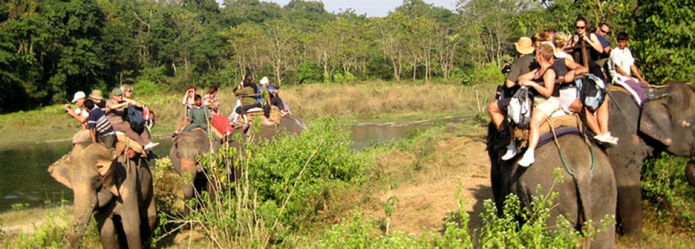 चितवन राष्ट्रिय निकुञ्जमा पर्यटकको संख्या घटे  